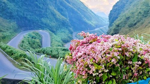 Visit Ha Giang in November: Is it a good time to go?
